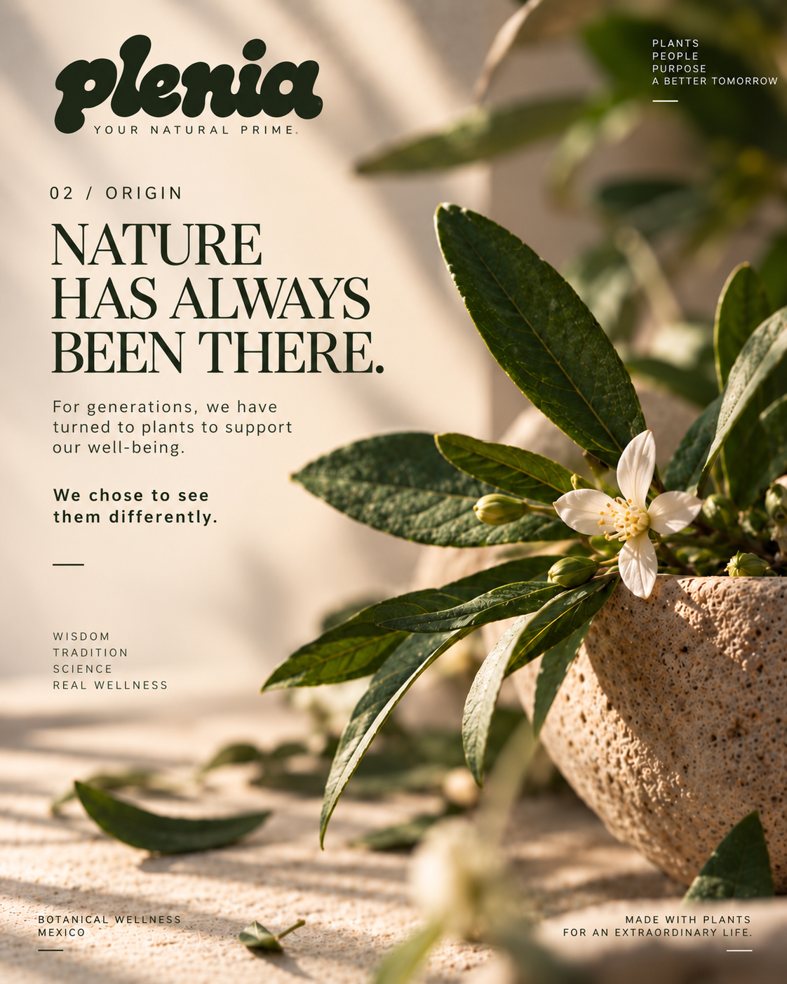Plenia Nature Has Always Been There