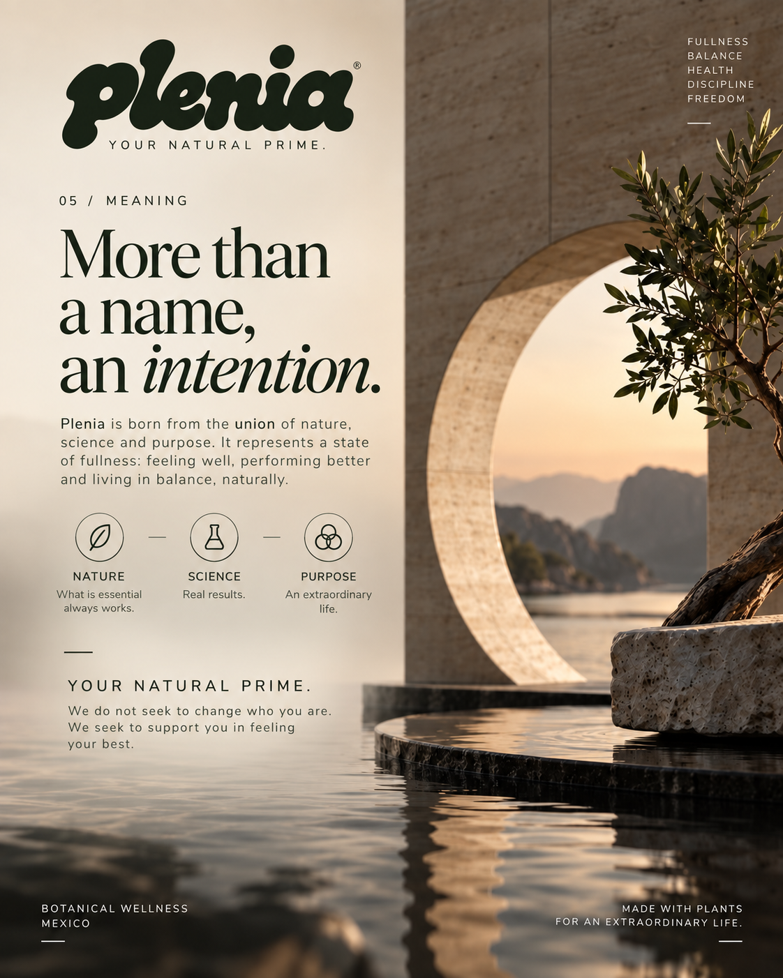Plenia More Than A Name An Intention