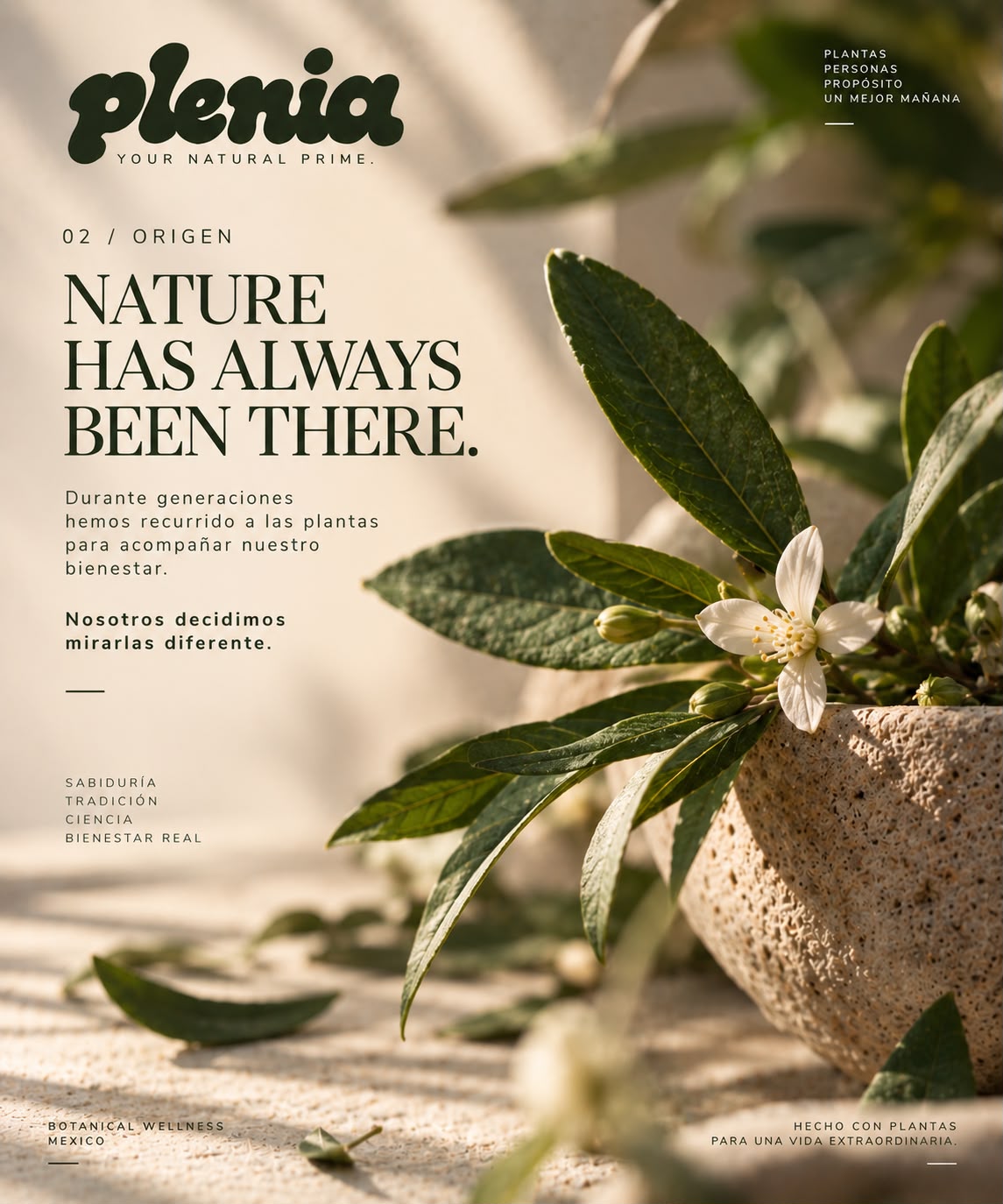 Plenia identidad de marca