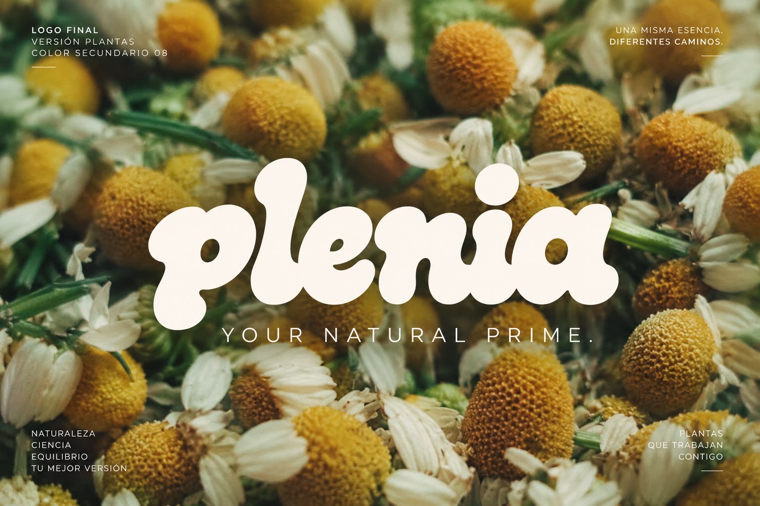 Plenia productos