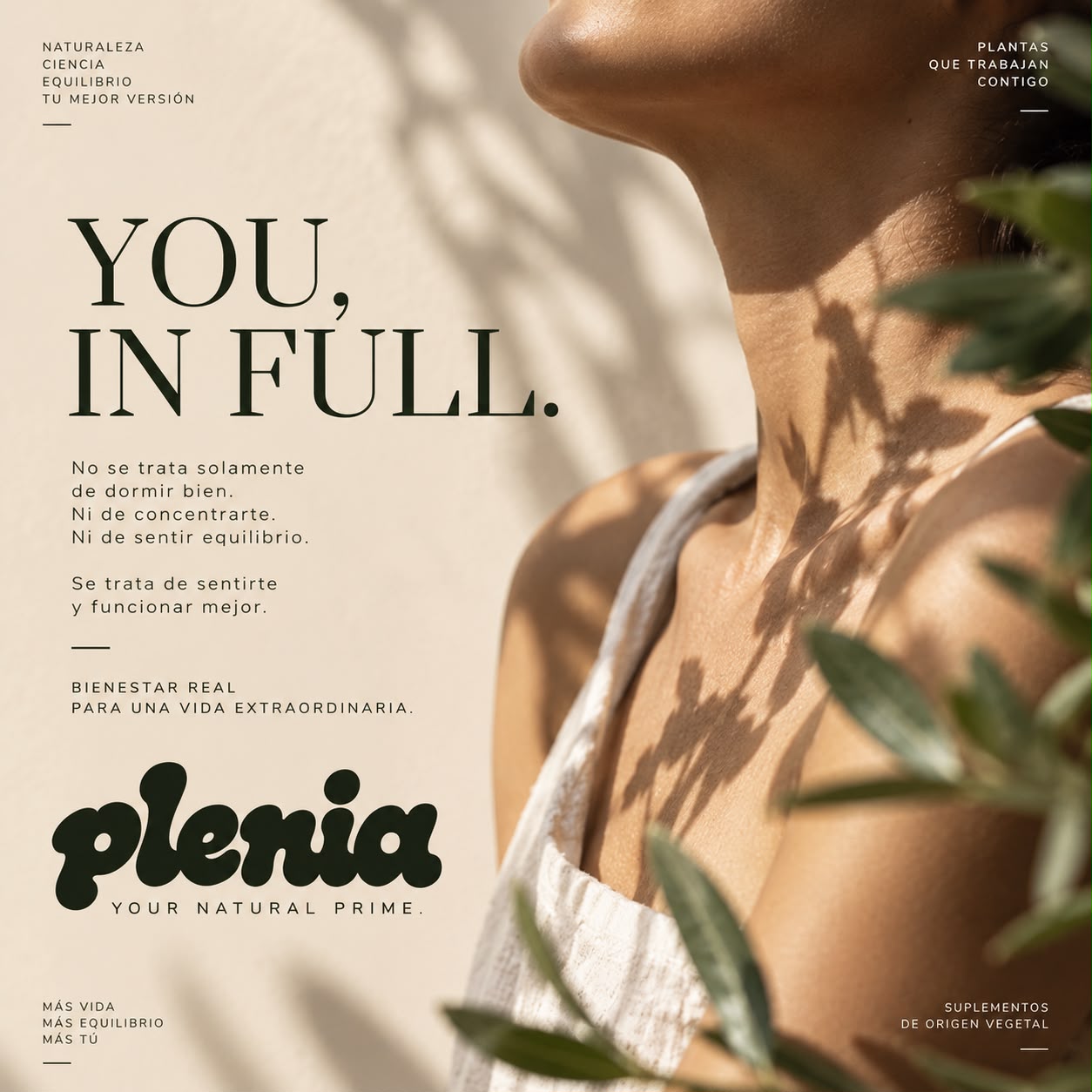 Plenia significado de marca