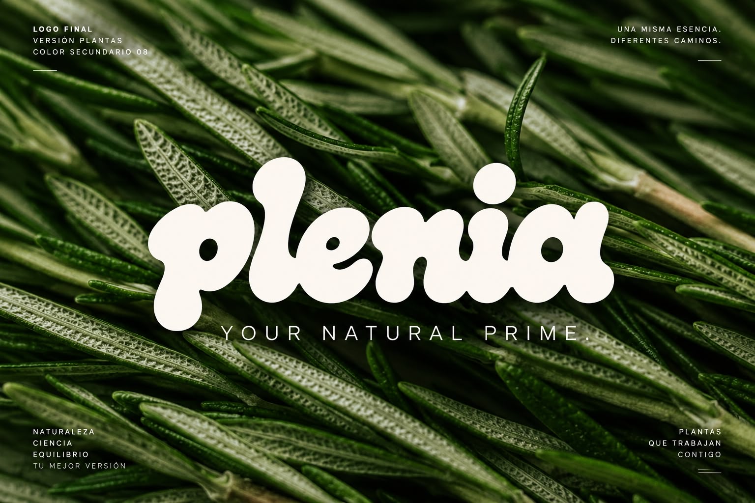 Plenia identidad natural